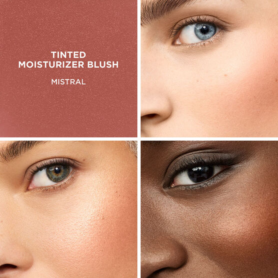 BLUSH MISTRAL TINTED MOIST BLUSH